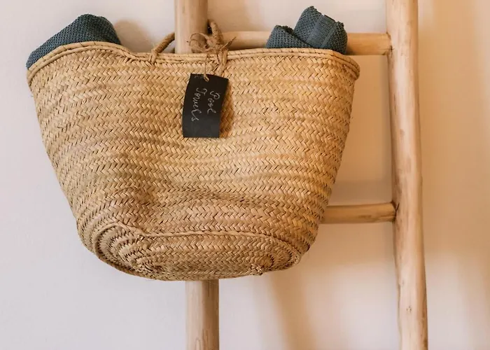 Ama De Luz 자베아