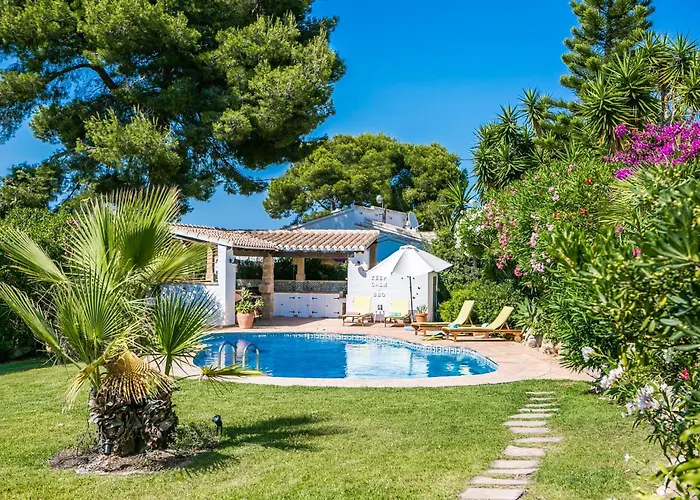 Ama De Luz * 자베아